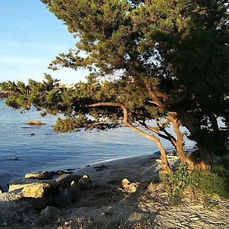 Ariosto Nocleg ze śniadaniem Golfo Aranci